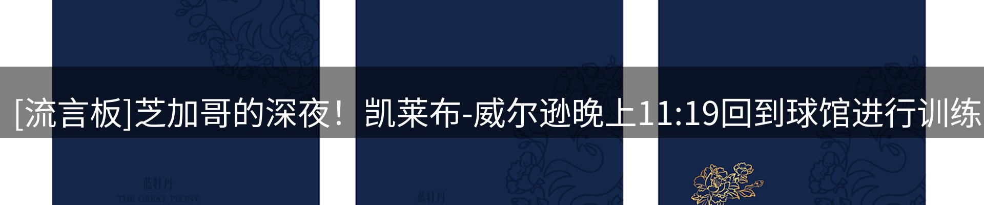 内页banner